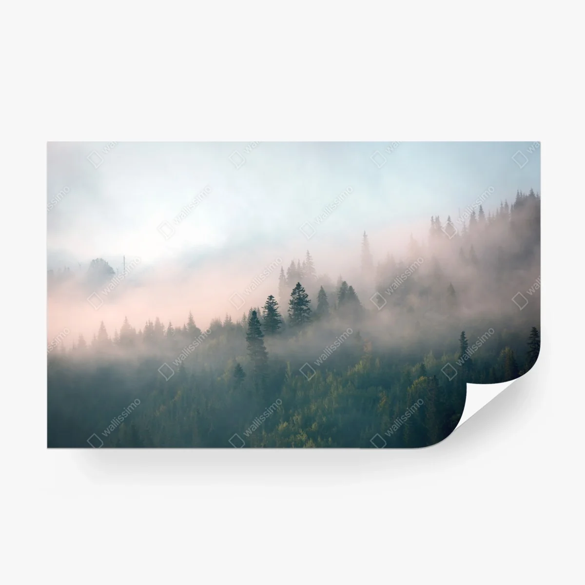 Fototapete nebliger morgenwald – Wallnifity® Fototapete nebliger morgenwald – Wallnifity®