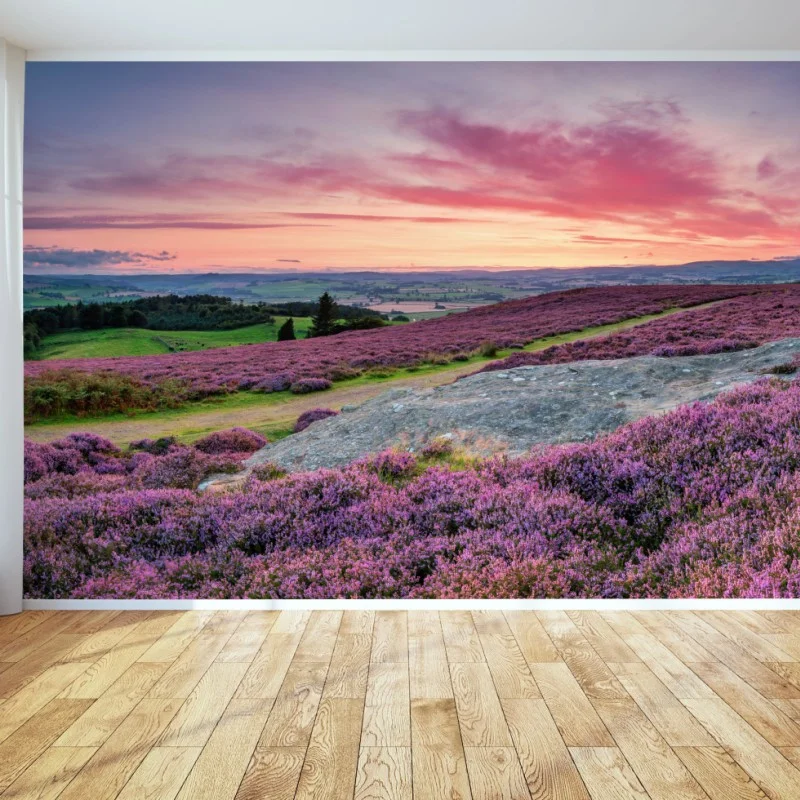 Wiesen – Wallnifity®