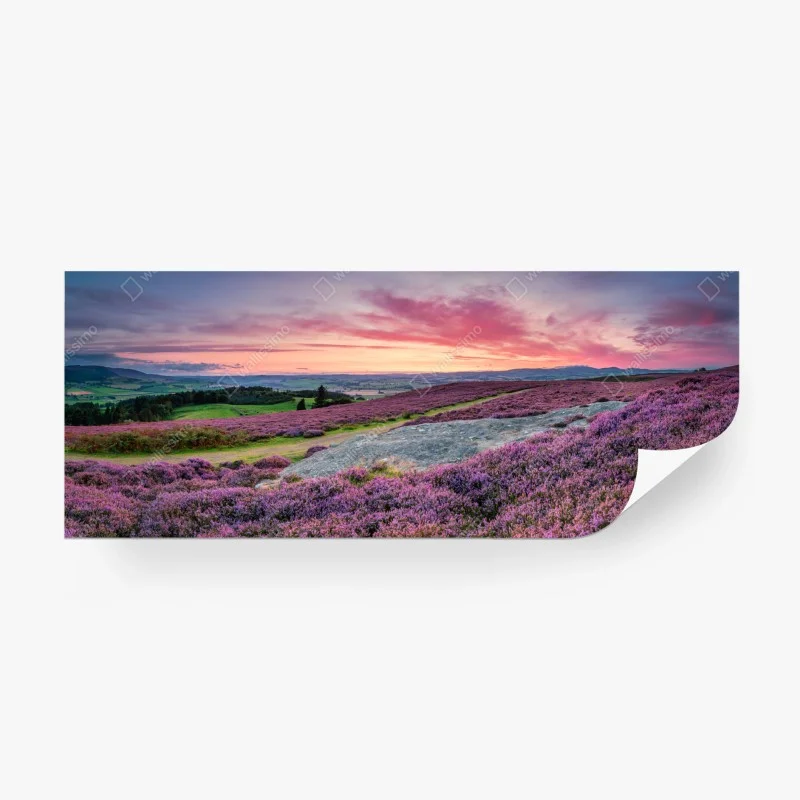 Wiesen – Wallnifity®