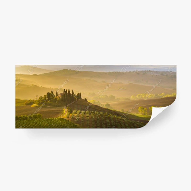 Landschaften – Wallnifity®