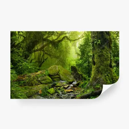 Fototapete moosbedeckter waldbach – Wallnifity®