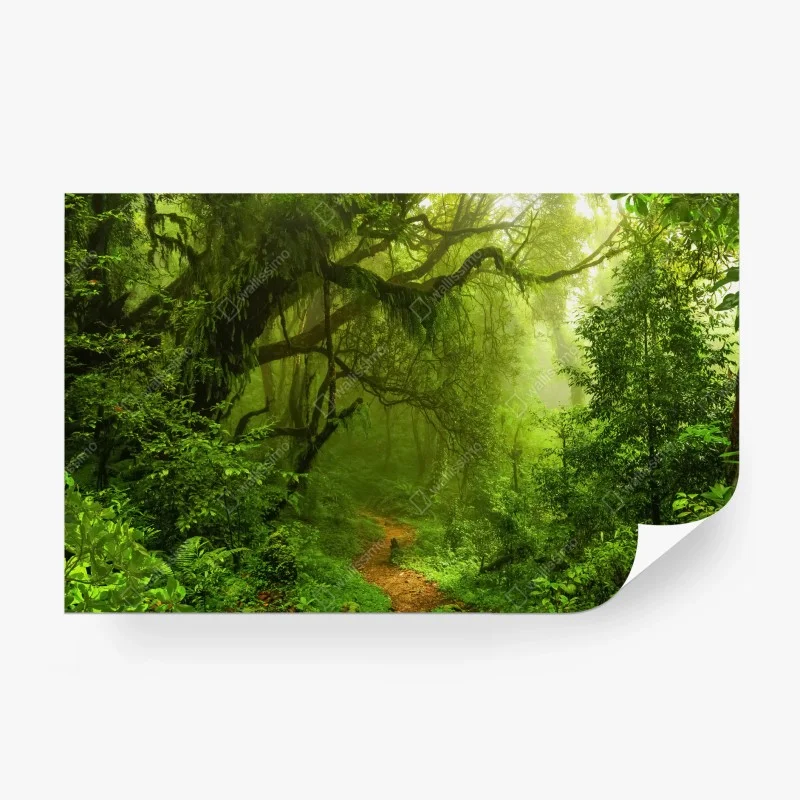 Wälder – Wallnifity®