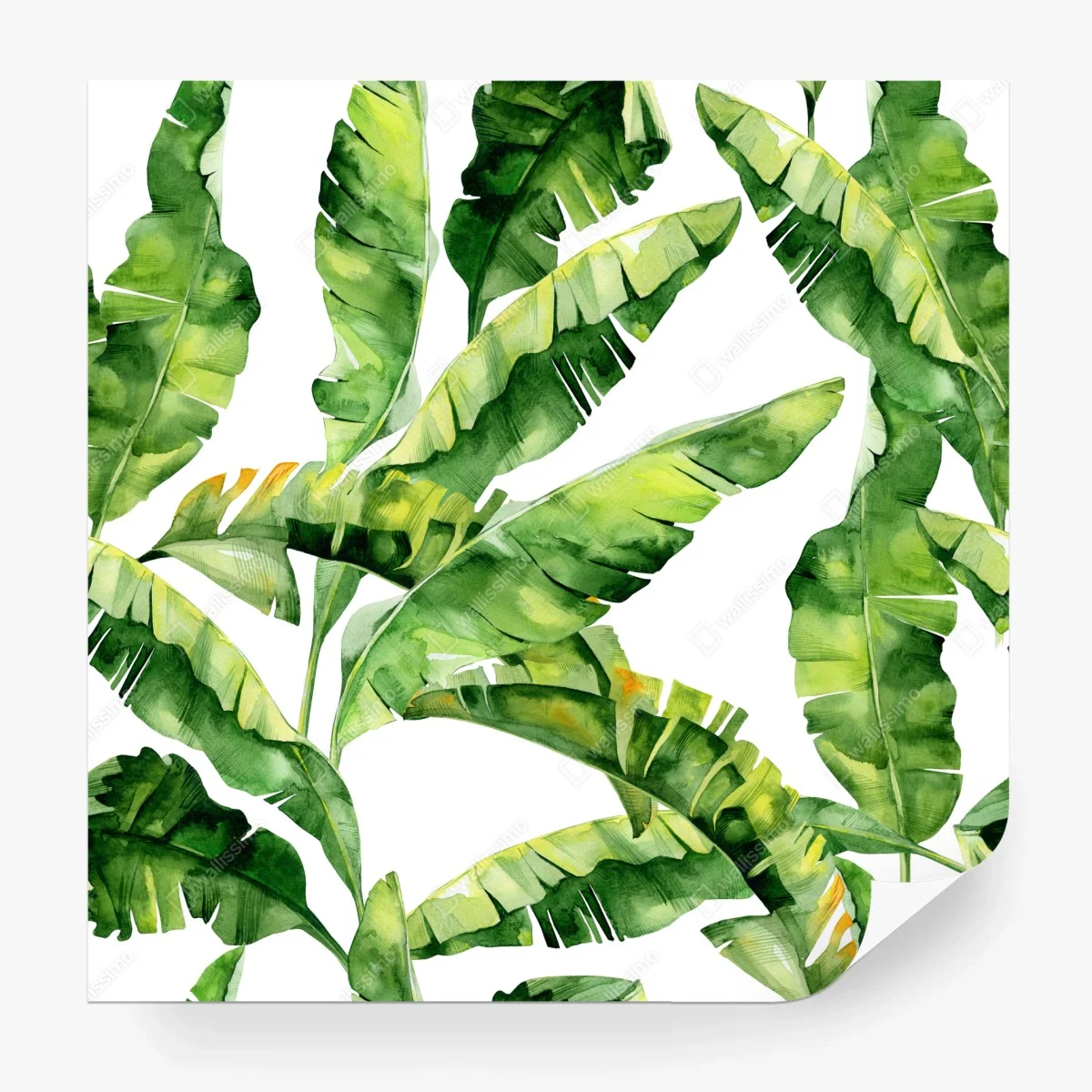 Fototapete tropisches bananenblatt aquarellmuster – Wallnifity®