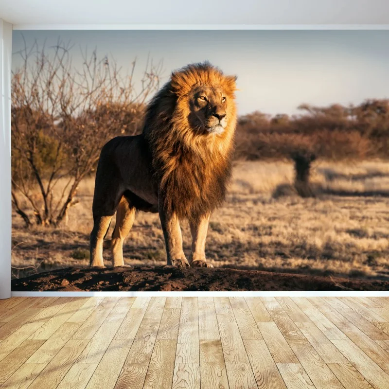 Tiere – Wallnifity®
