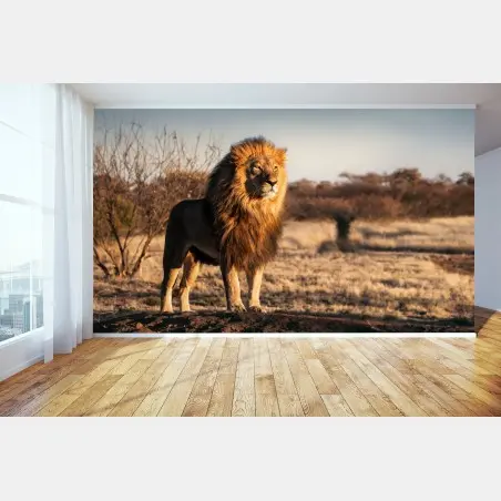 Fototapete majestätischer löwe auf der savanne – Wallnifity®