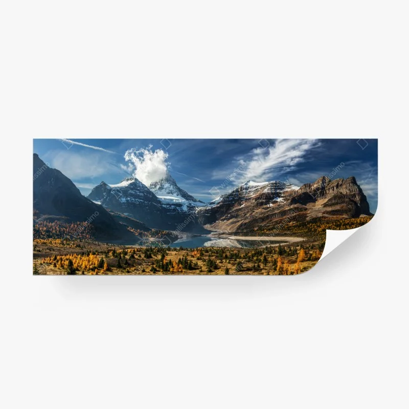 Fototapeten – Wallnifity®