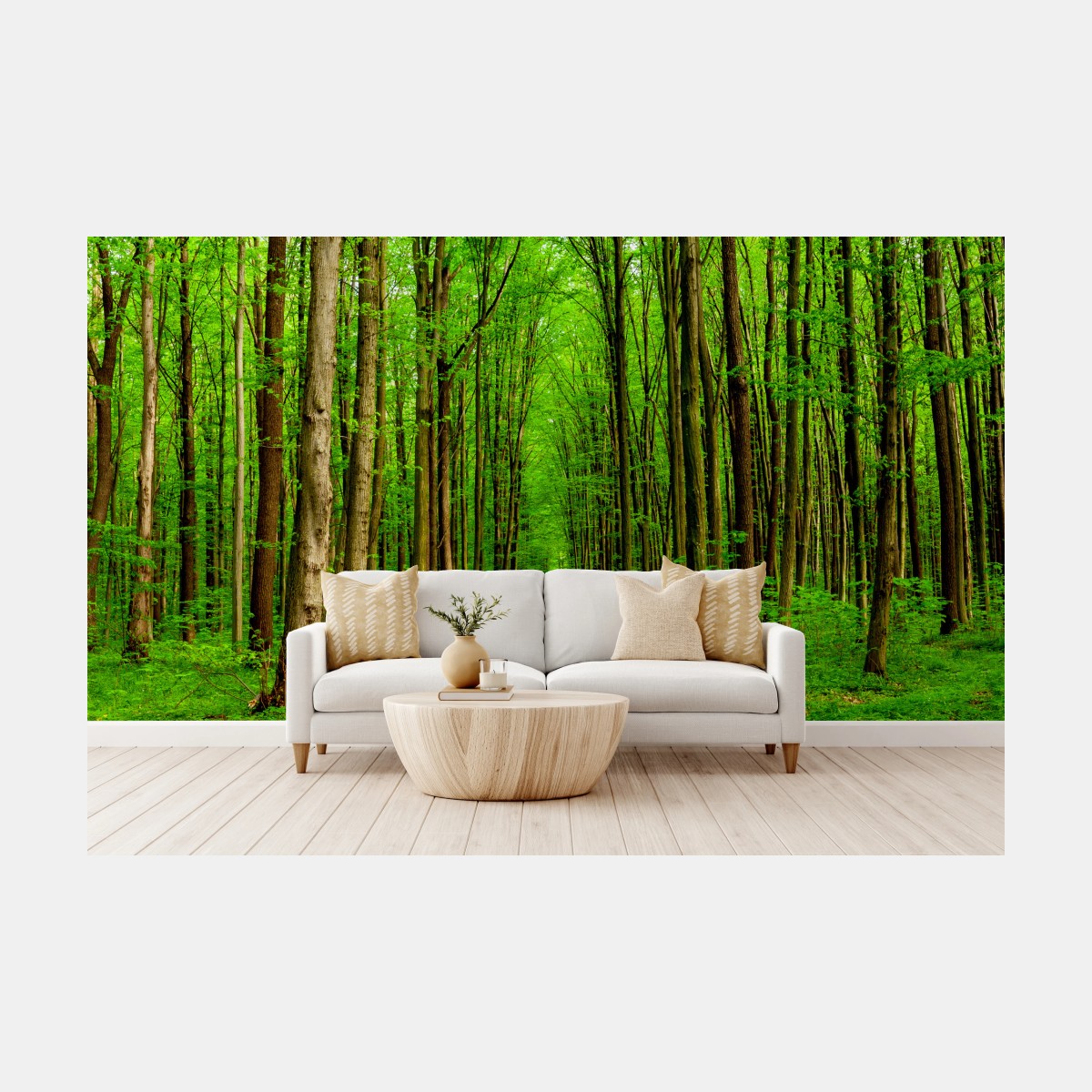Fototapete grüner waldweg im frühling – Wallnifity®