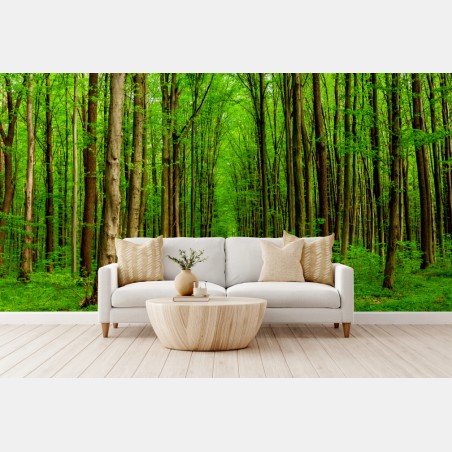 Fototapete grüner waldweg im frühling – Wallnifity®