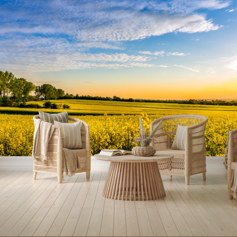 Fototapeten – Wallnifity®