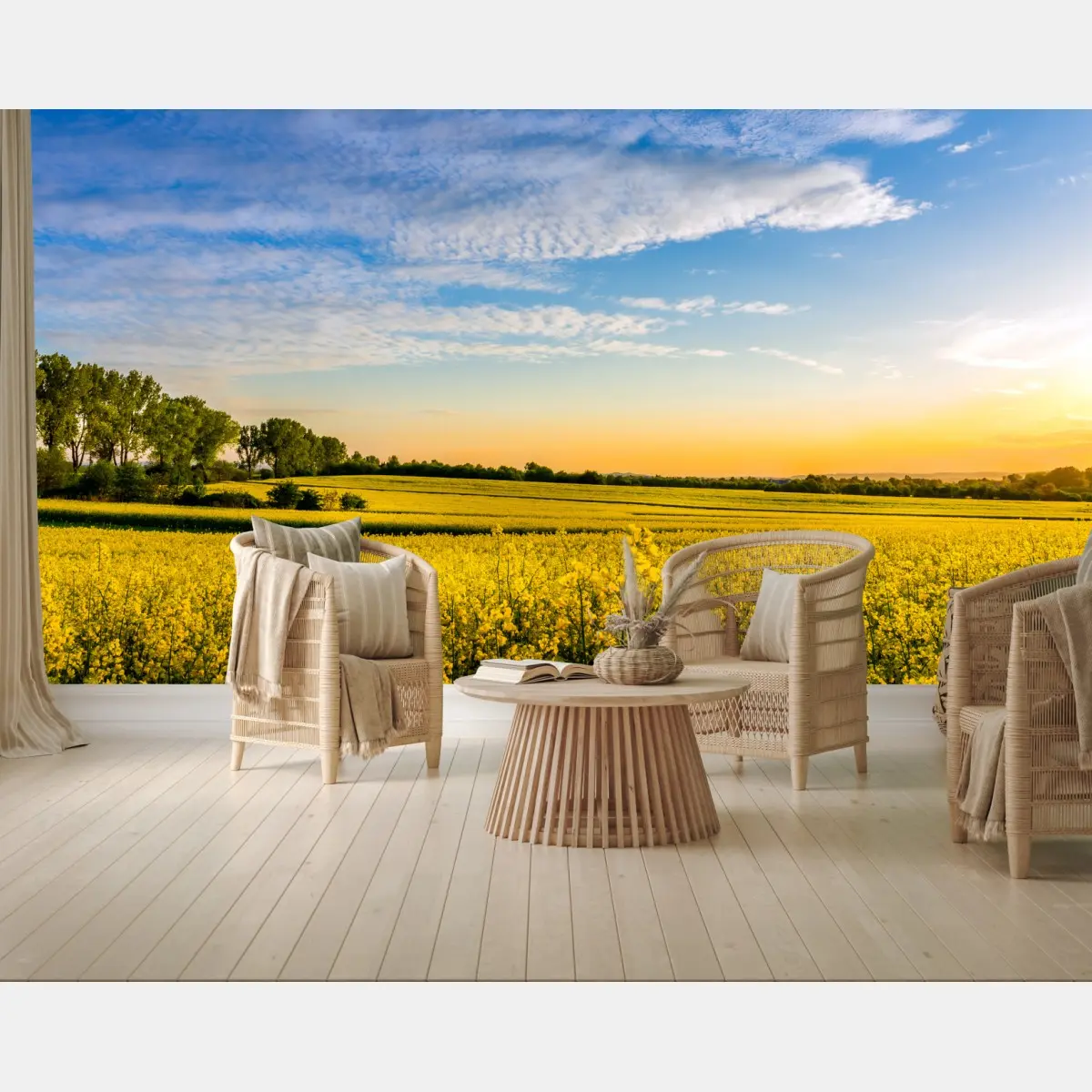 Fototapete sonnenbeschienenes rapsfeld im abendlicht – Wallnifity®