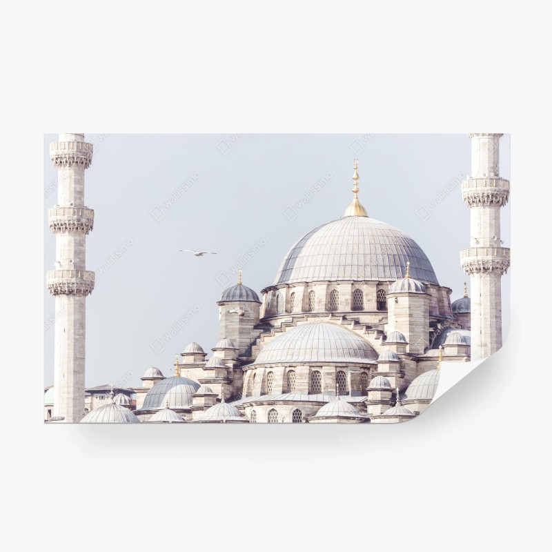 Fototapeten – Wallnifity®