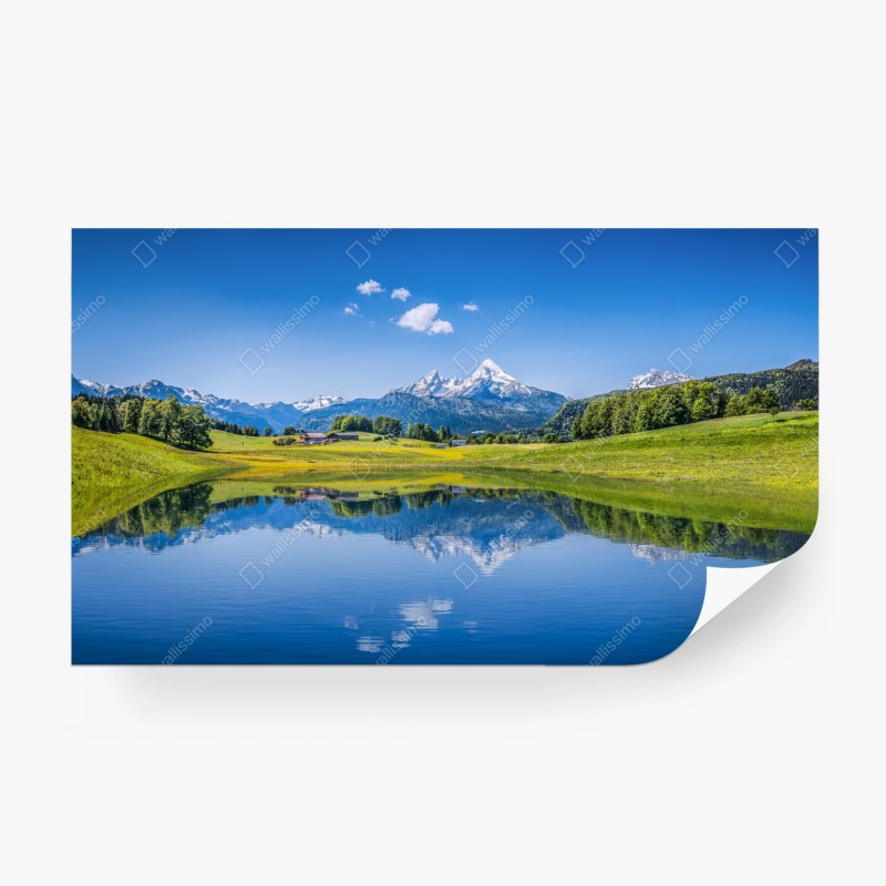 Fototapeten – Wallnifity®