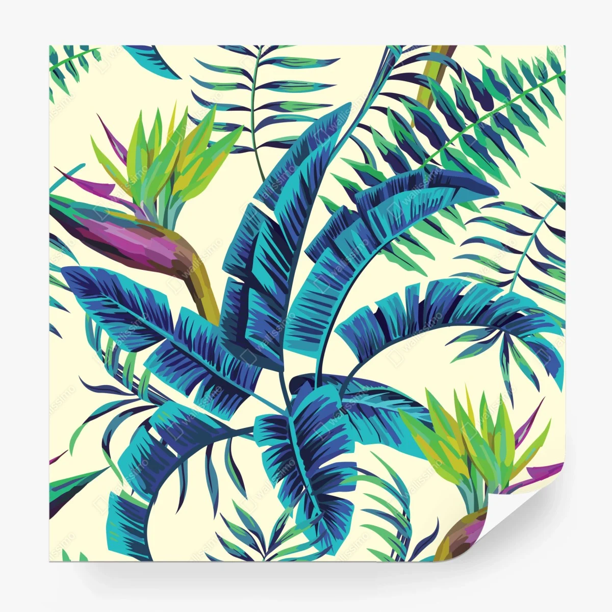 Fototapete tropische türkisblätter – Wallnifity®