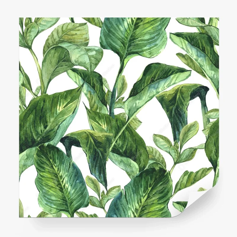 Blätter – Wallnifity®