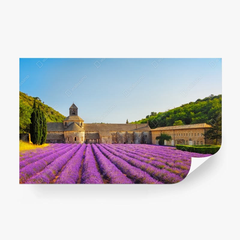 Rustikal – Wallnifity®