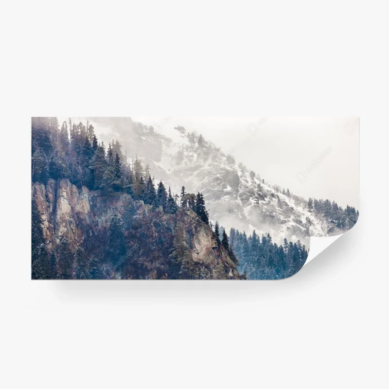 Skandinavisch – Wallnifity®