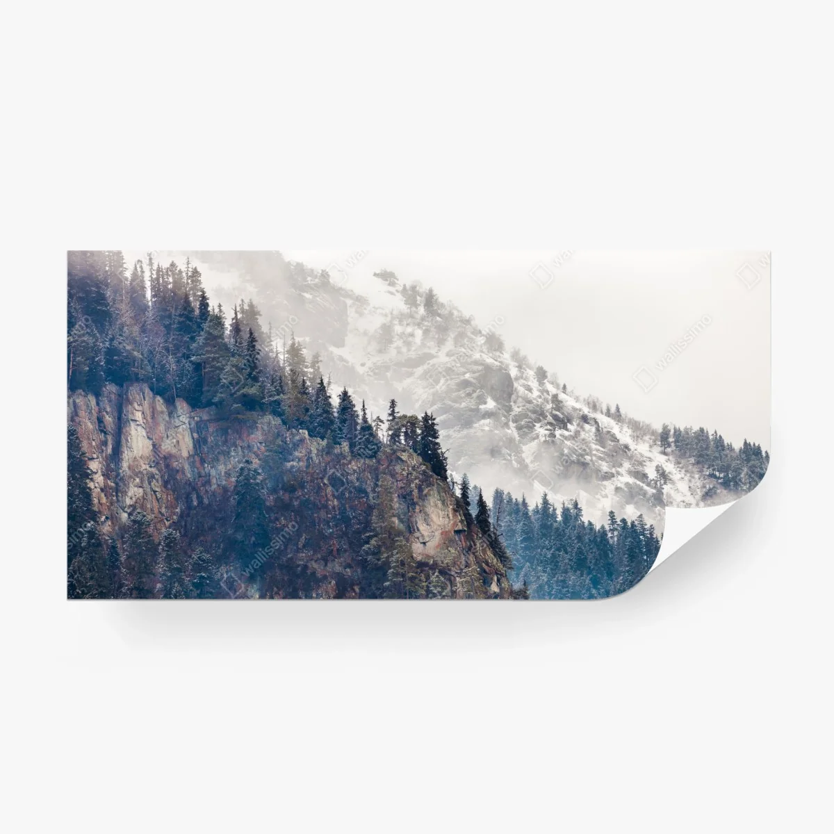 Fototapete nebliger berg mit felsklippe und kieferwald – Wallnifity®