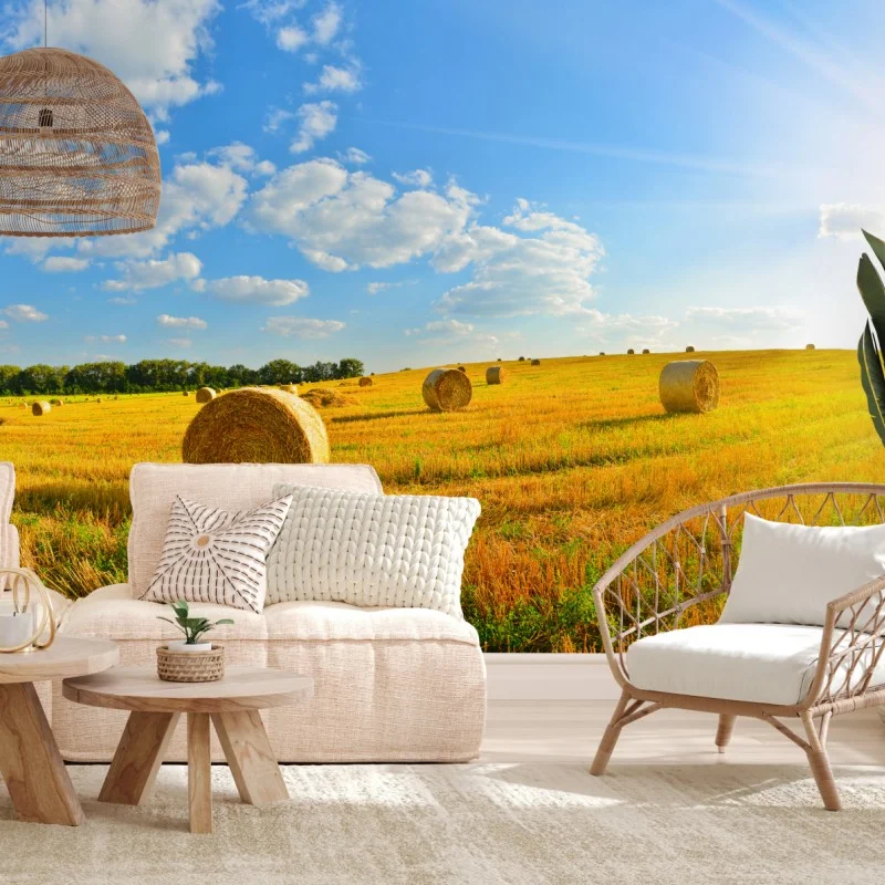 Panoramen – Wallnifity®