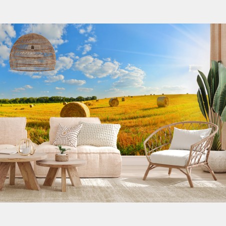 Fototapete goldenes heufeld unter blauem himmel – Wallnifity®