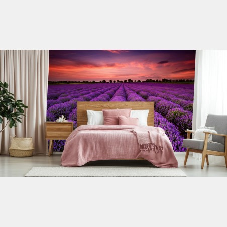 Fototapete lavendelfeld bei sonnenuntergang – Wallnifity®