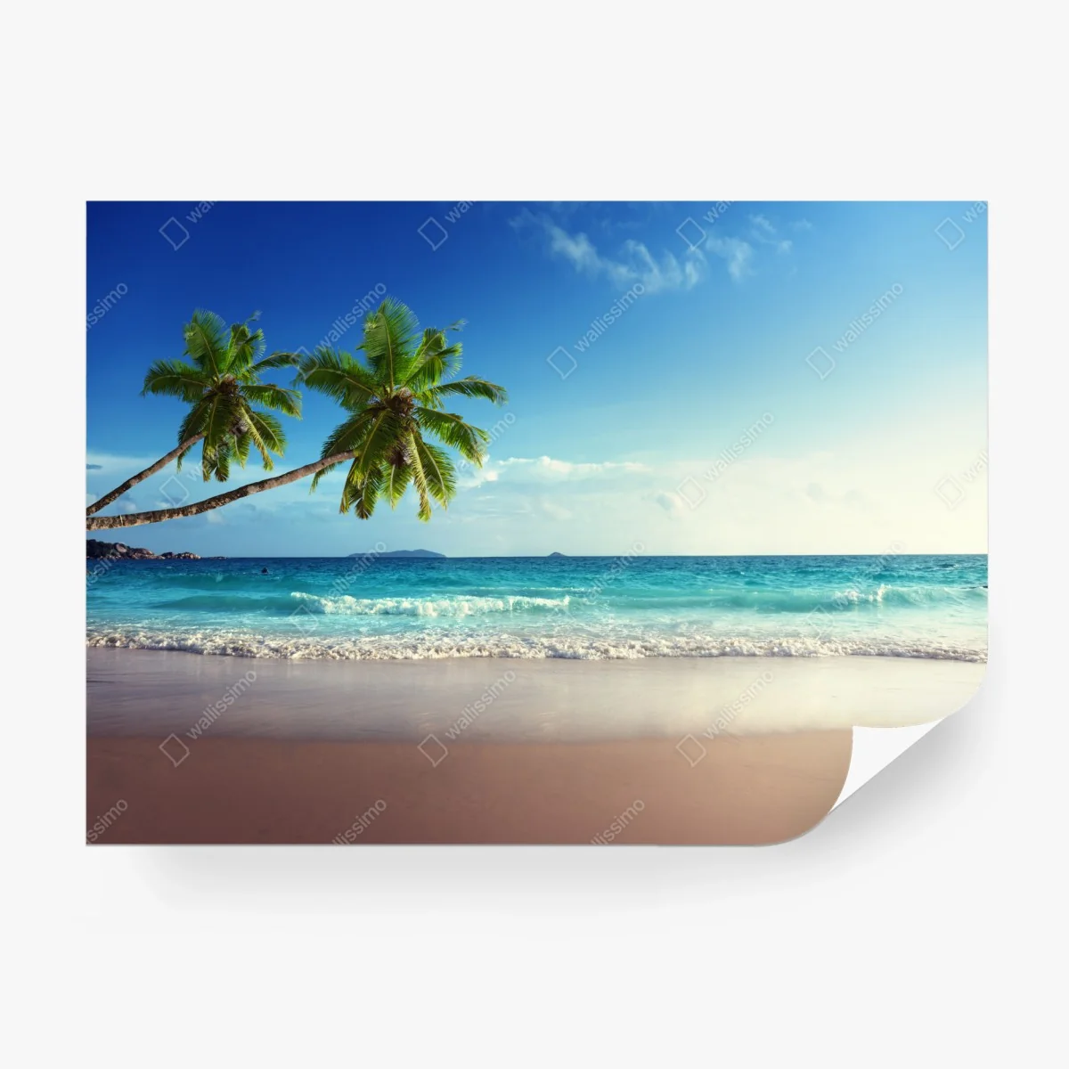 Fototapete tropischer Karibikstrand bei sonnenuntergang – Wallnifity®