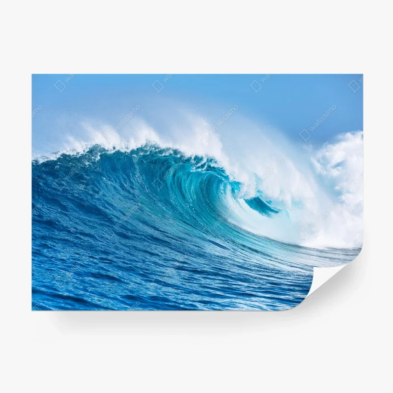 Meere & Ozeane – Wallnifity®