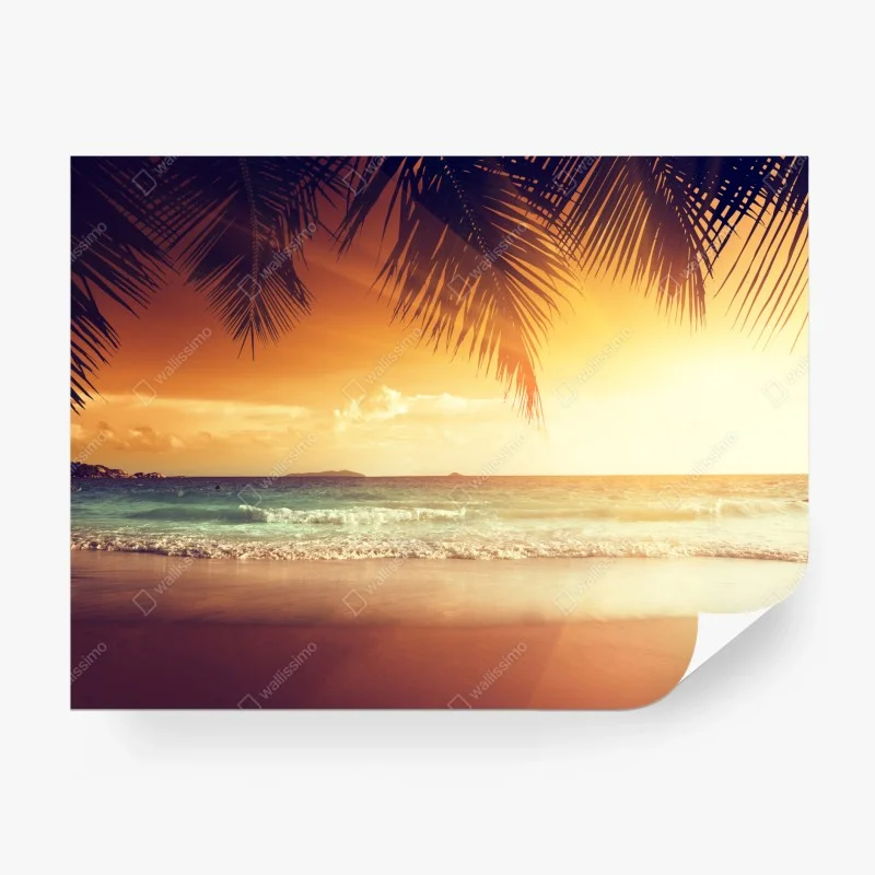 Vintage – Wallnifity®