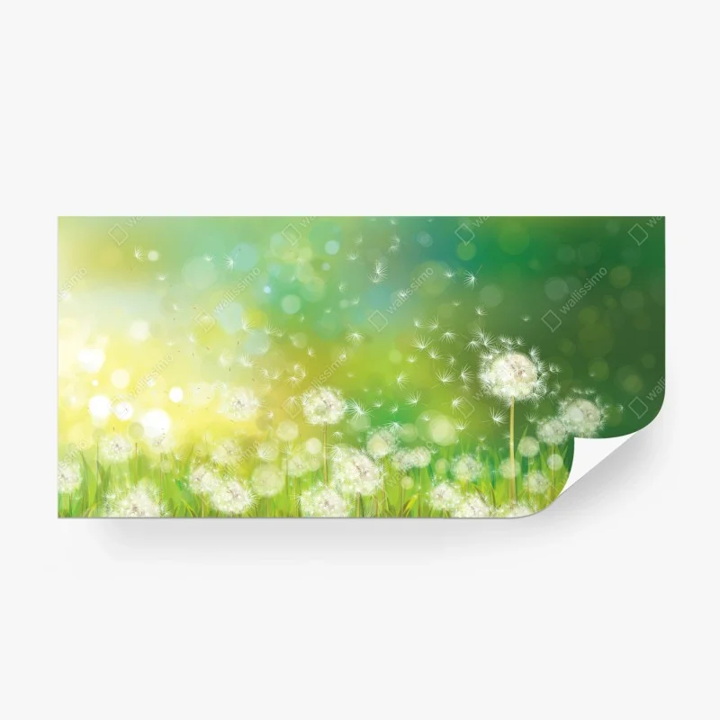 Blumen & Pflanzen – Wallnifity®