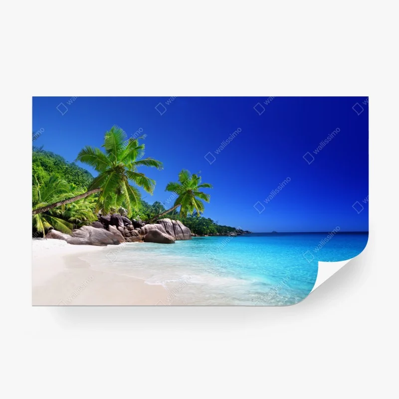 Strand – Wallnifity®