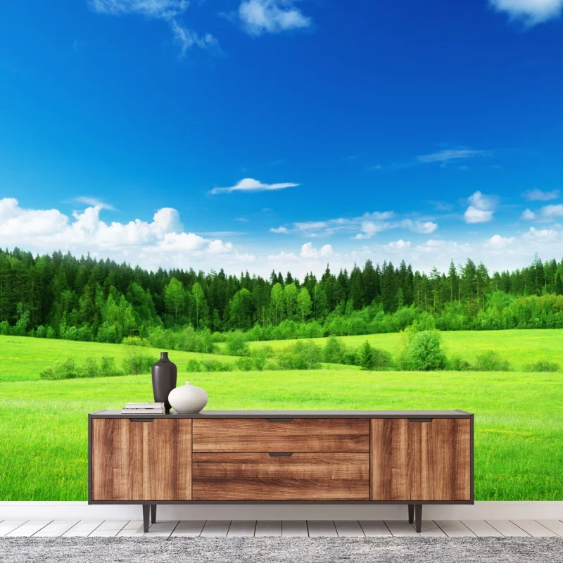 Wiesen – Wallnifity®