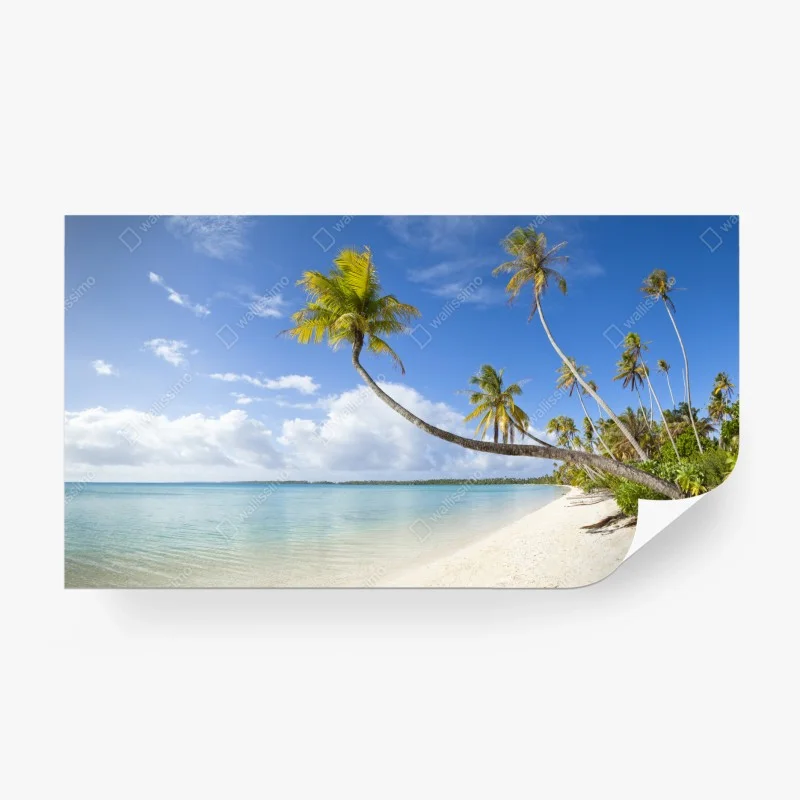 Strand – Wallnifity®