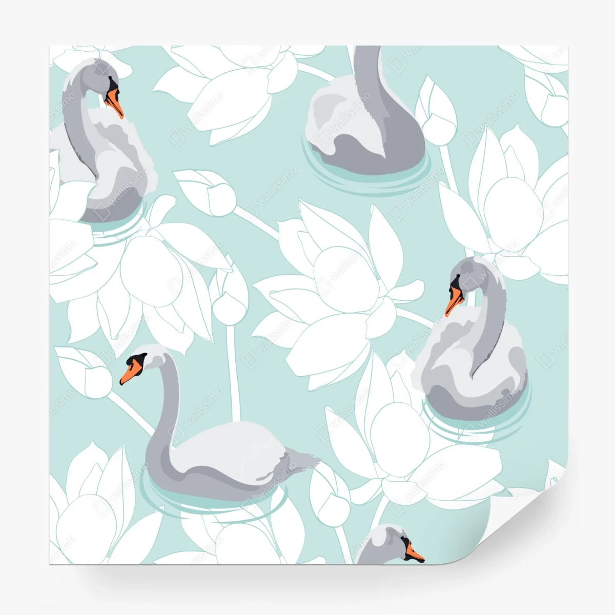 Fototapete sanfte schwäne und lotusblumen – Wallnifity®