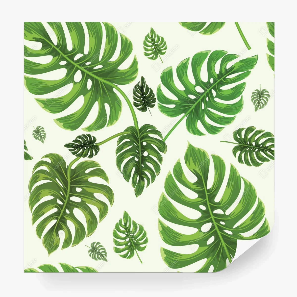 Fototapete tropisches monstera-blattmuster – Wallnifity® Fototapete tropisches monstera-blattmuster – Wallnifity®