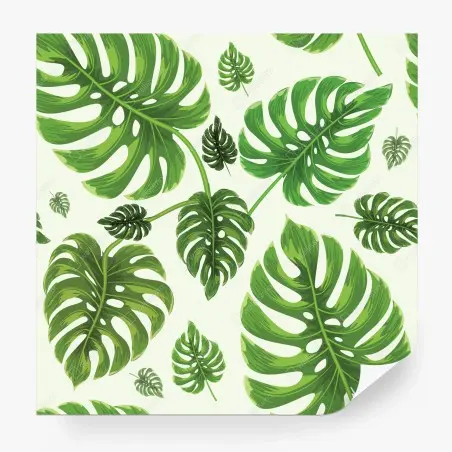 Fototapete tropisches monstera-blattmuster – Wallnifity®