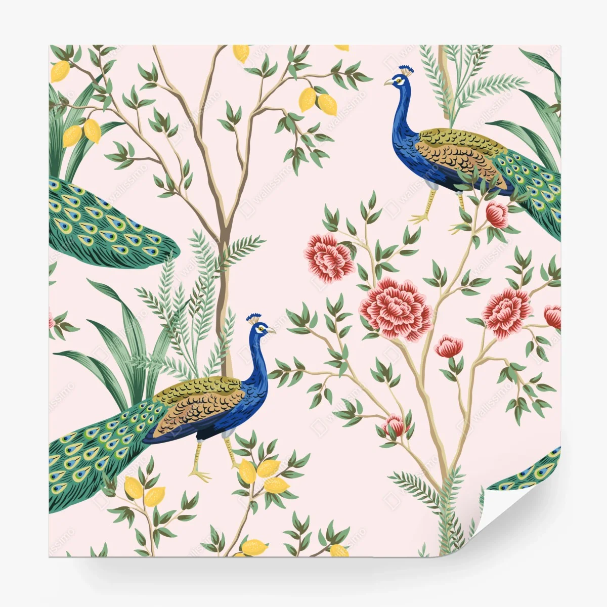 Fototapete elegantes pfau- und blumenmuster auf rosa hintergrund – Wallnifity®