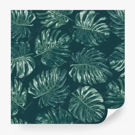 Fototapete tropisches monstera-blattmuster – Wallnifity®