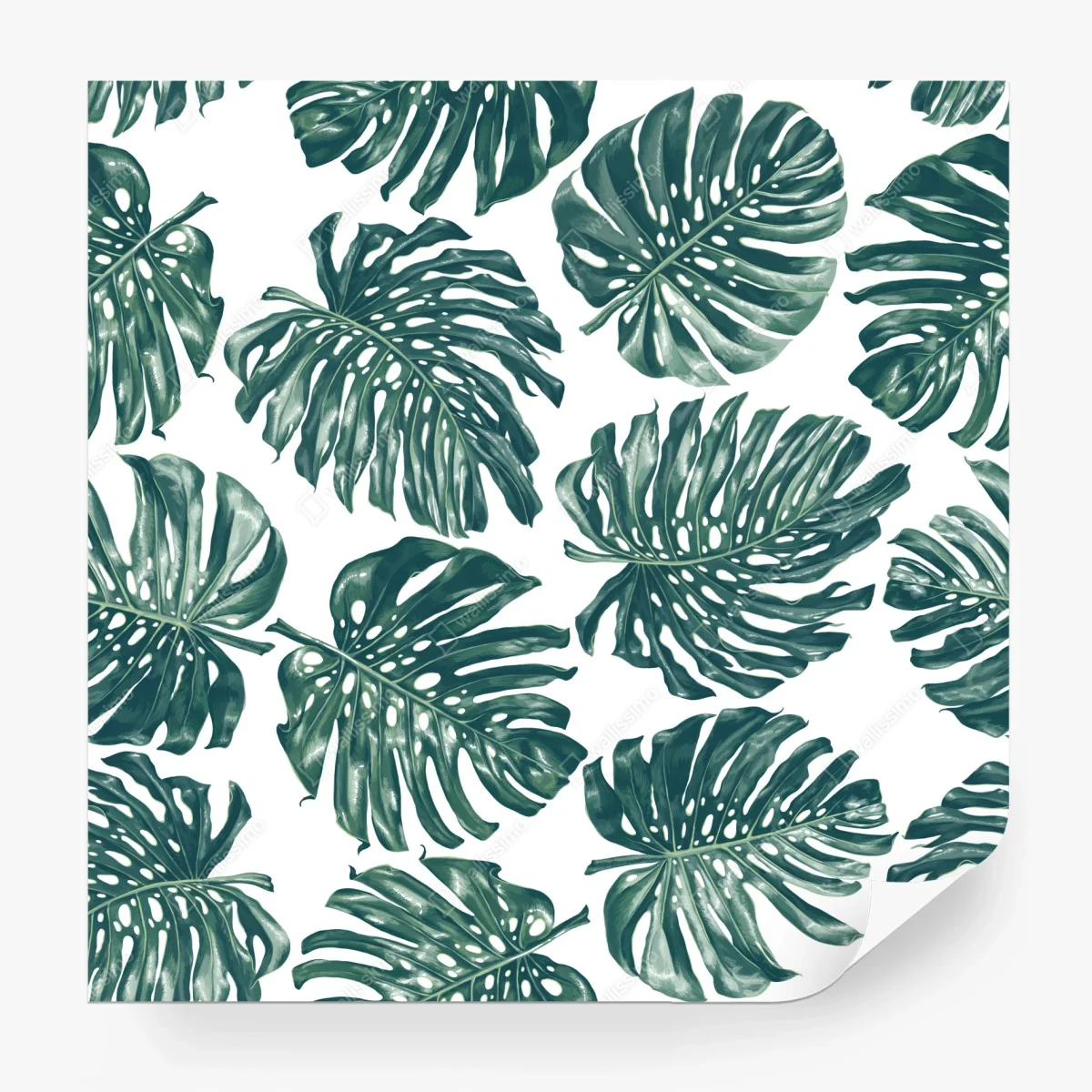 Fototapete monstera blatt botanisches muster – Wallnifity®