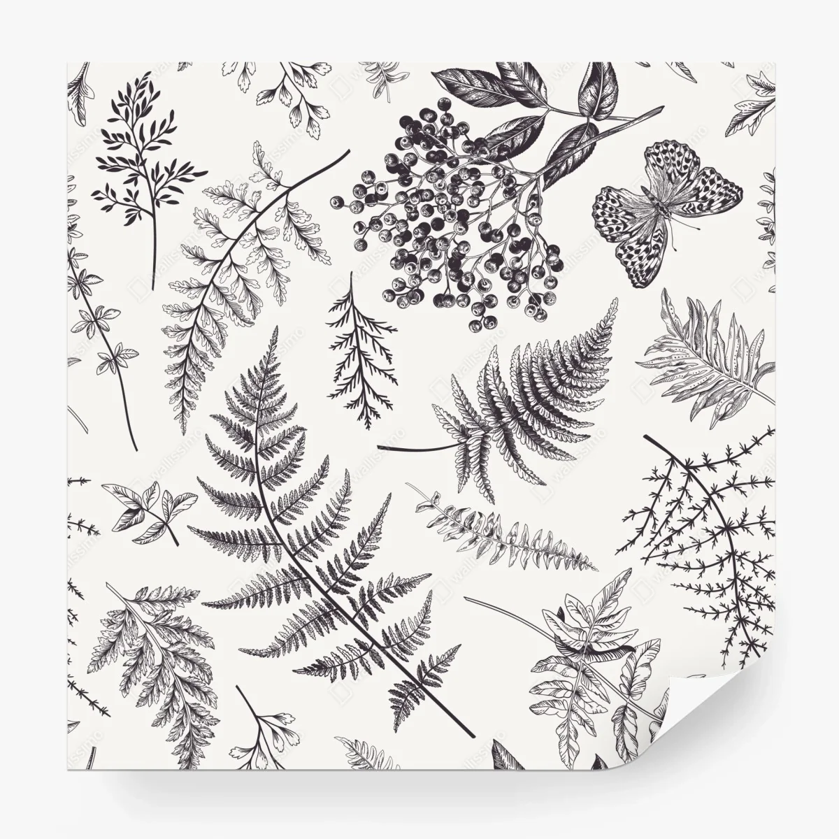 Fototapete monochromes botanisches blättermuster – Wallnifity®