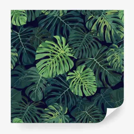 Fototapete tropisches monstera-blattmuster – Wallnifity®