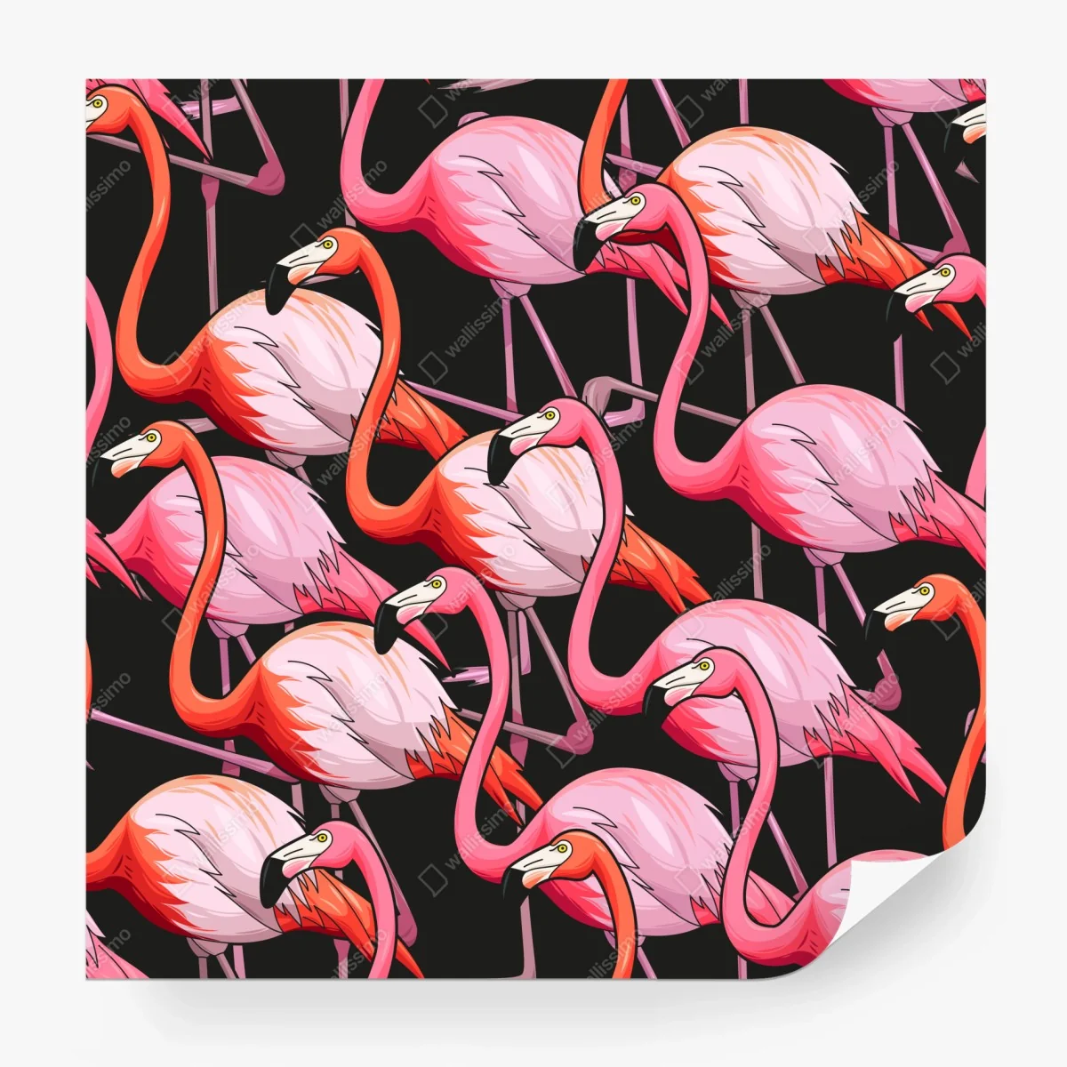 Fototapete rosa flamingo-muster auf schwarzem hintergrund – Wallnifity®
