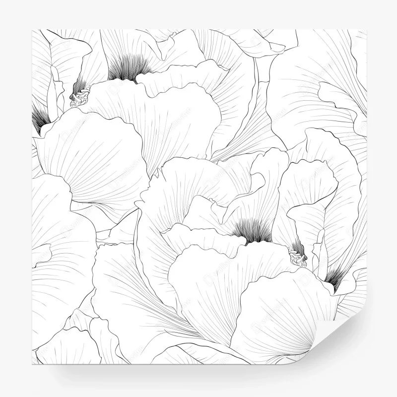 Minimalistisch – Wallnifity®