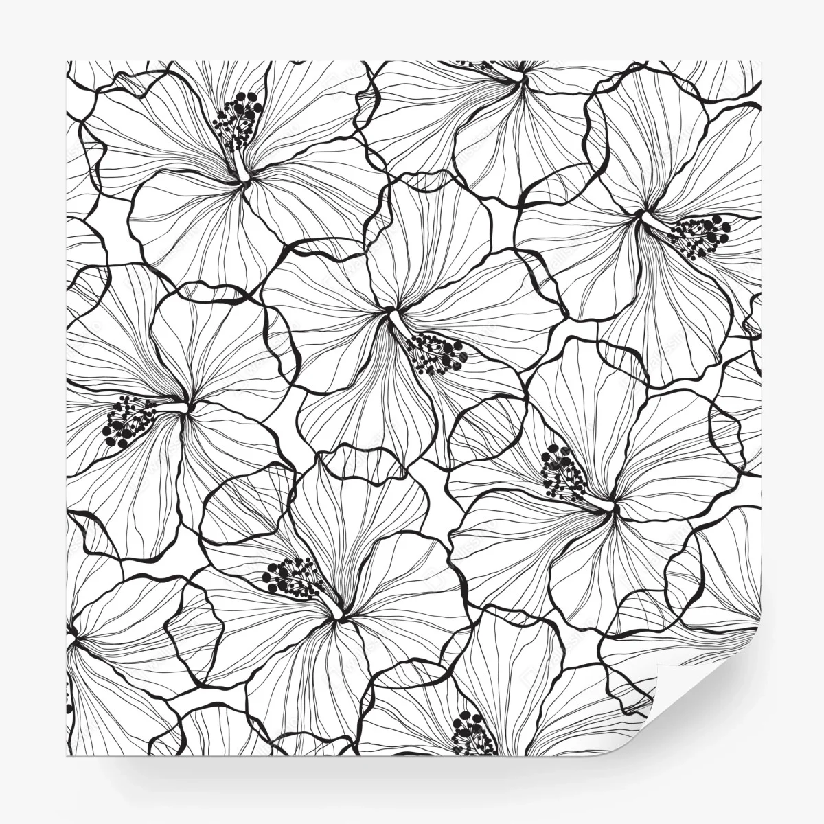 Fototapete schwarzweißes hibiskus line art muster – Wallnifity®