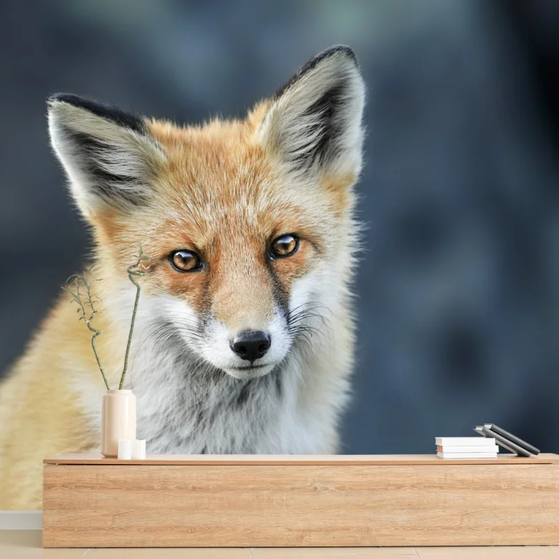 Tiere – Wallnifity®