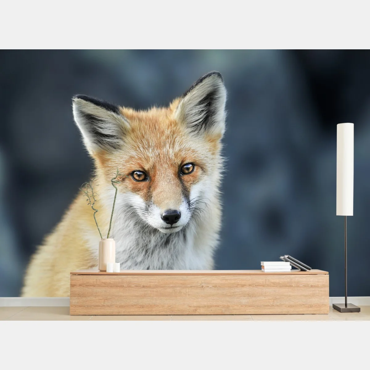 Fototapete rotfuchs nahaufnahme – Wallnifity® Fototapete rotfuchs nahaufnahme – Wallnifity®