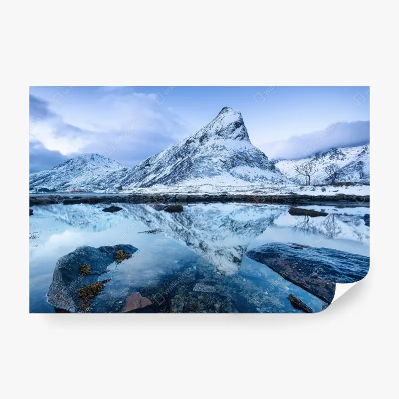 Skandinavisch – Wallnifity®