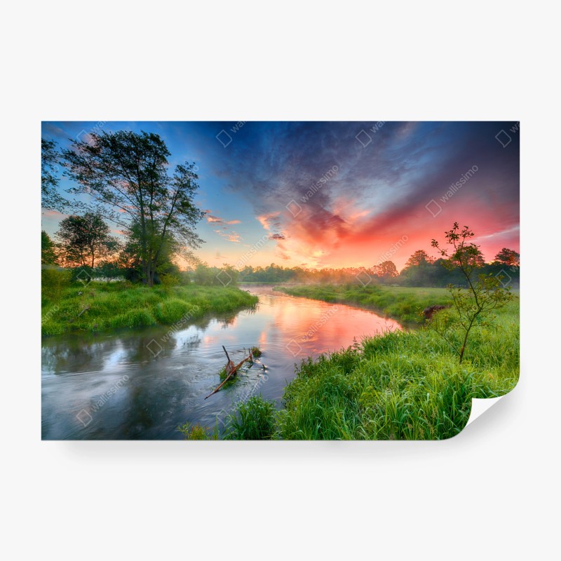 Natur – Wallnifity®