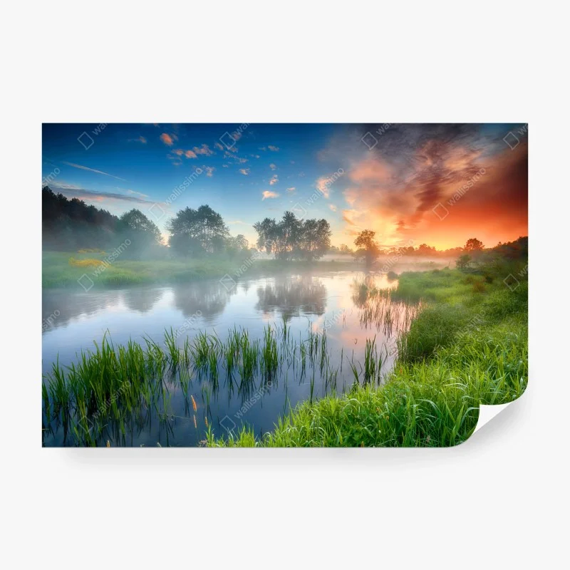 Natur – Wallnifity®