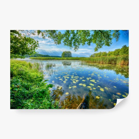 Fototapete sommer am Masurensee – Wallnifity®