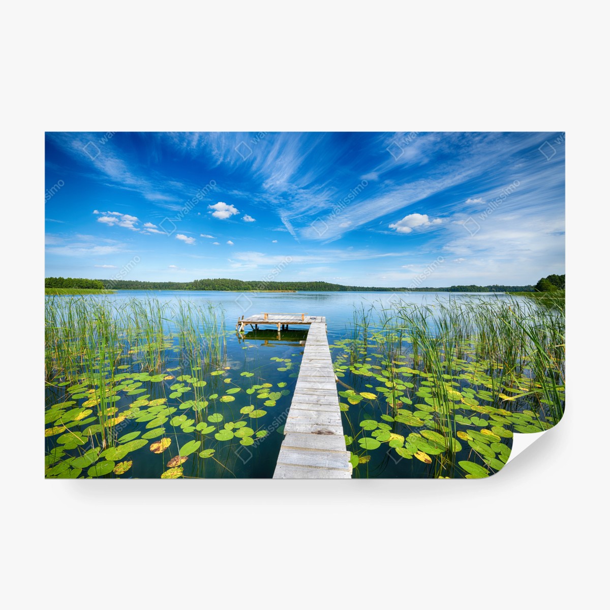 Fototapete steg in Masuren im sommer – Wallnifity®