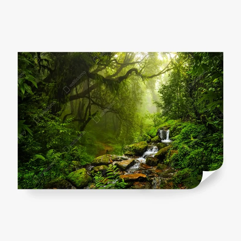 Wasserfälle – Wallnifity®